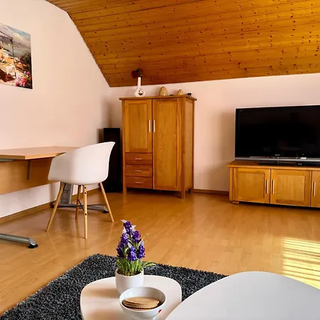 Business-Apartment Braun Abstatt Buitenkant foto